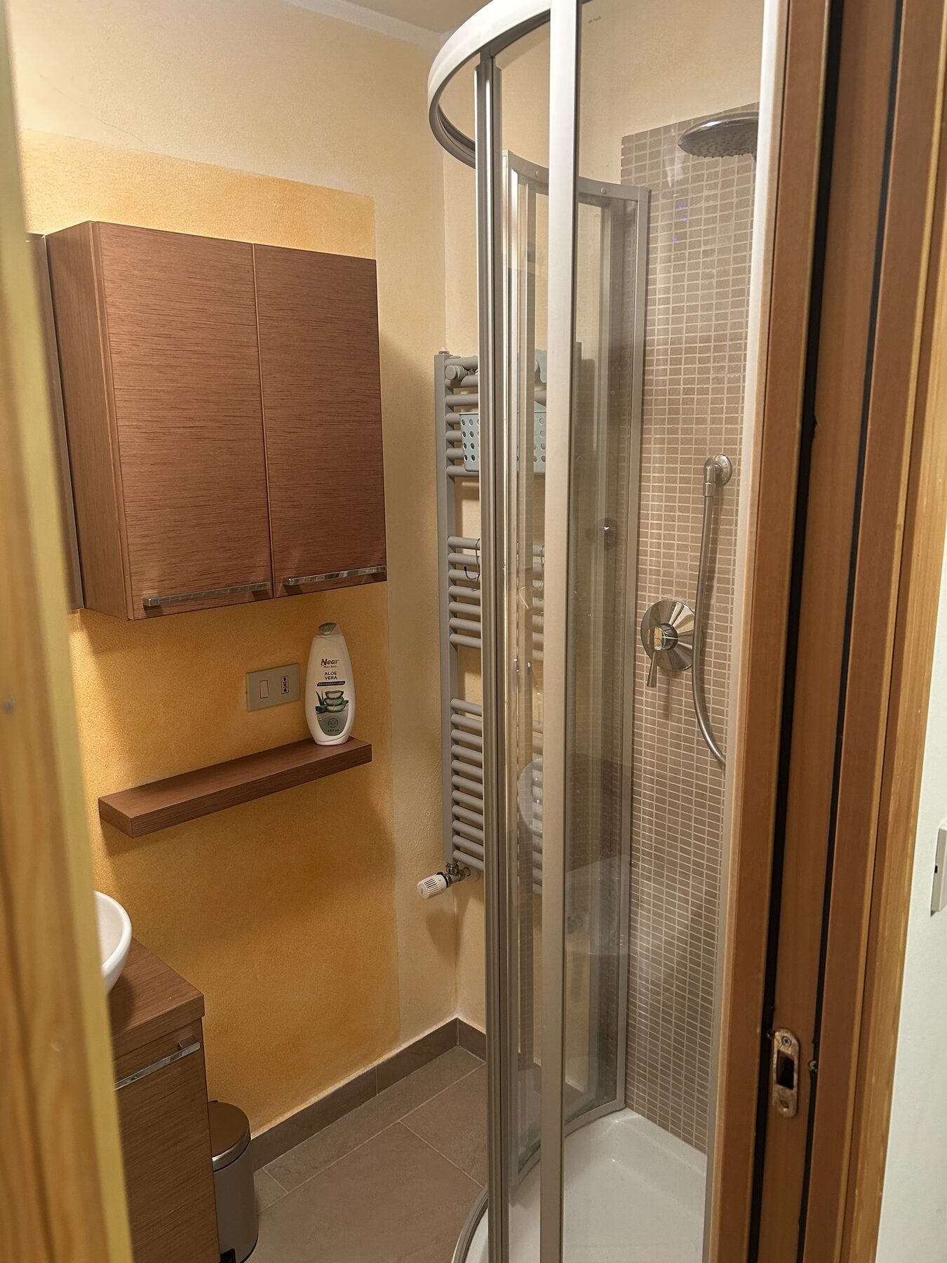 Modern bathroom with shower